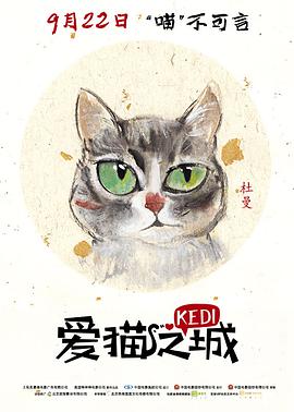 奈飞影视《爱猫之城 Kedi》免费在线观看