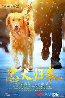 奈飞影视《忠犬归来》免费在线观看