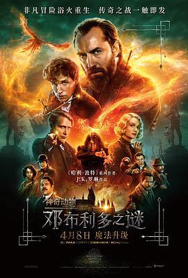 奈飞影视《神奇动物：邓布利多之谜 Fantastic Beasts: The Secrets of Dumbledore》免费在线观看