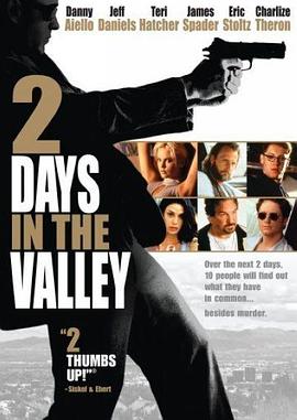 奈飞影视《山谷两日 2 Days in the Valley》免费在线观看