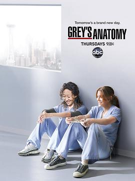 奈飞影视《实习医生格蕾 第八季 Grey's Anatomy Season 8》免费在线观看