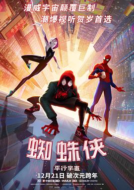 奈飞影视《蜘蛛侠：平行宇宙 Spider-Man: Into the Spider-Verse》免费在线观看