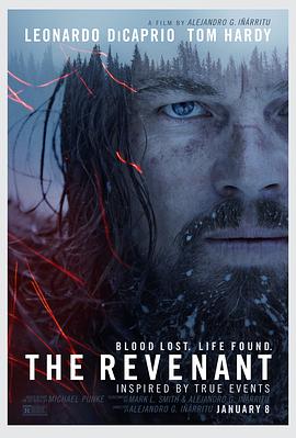 奈飞影视《荒野猎人 The Revenant》免费在线观看