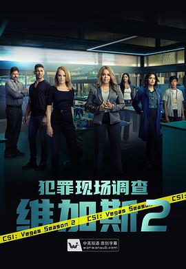 奈飞影视《犯罪现场调查：维加斯 第二季 CSI: Vegas Season 2》免费在线观看