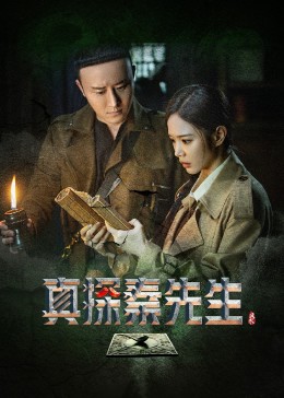 奈飞影视《真探秦先生》免费在线观看