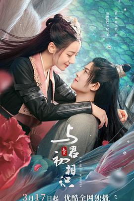 奈飞影视《与君初相识》免费在线观看