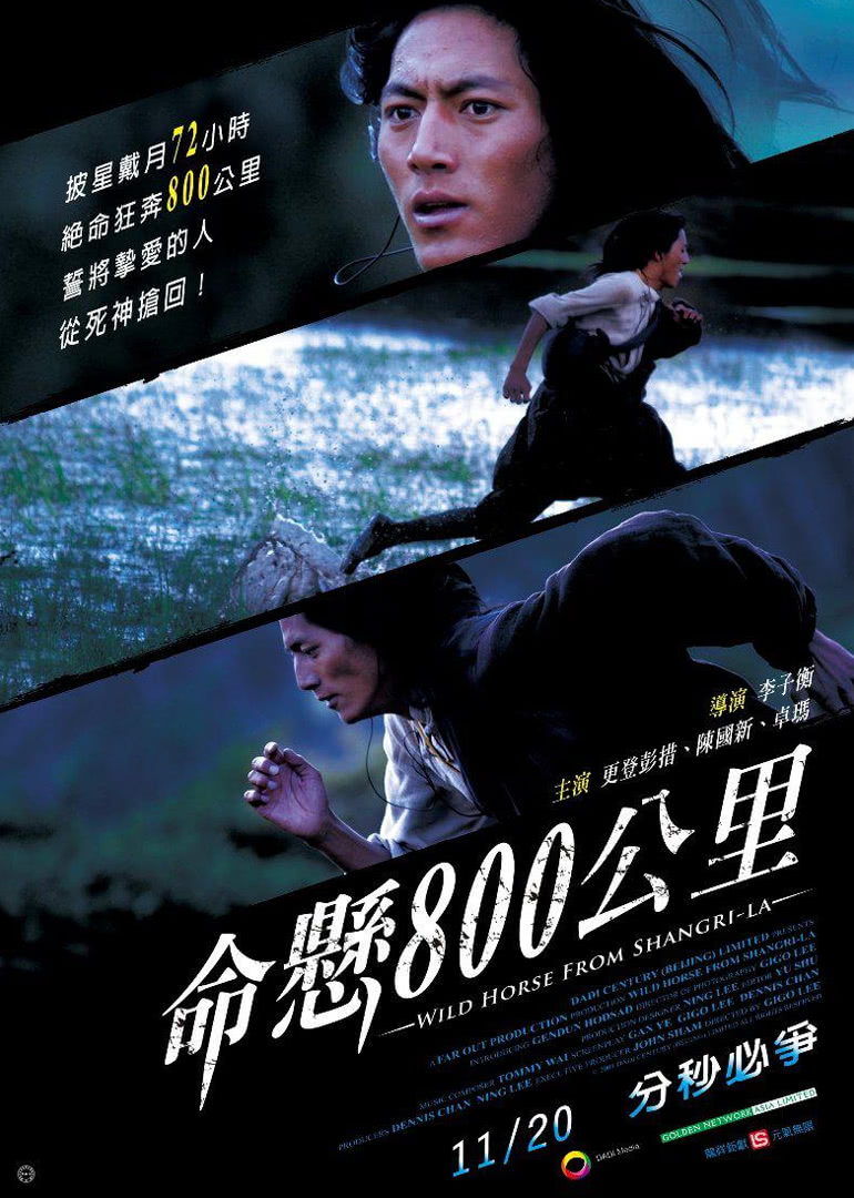 奈飞影视《命悬800公里》免费在线观看