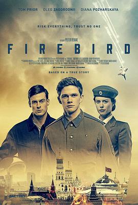 奈飞影视《浴火鸟 Firebird》免费在线观看