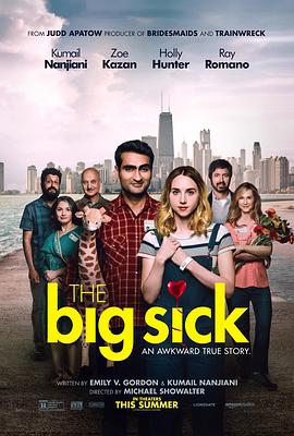 奈飞影视《大病 The Big Sick》免费在线观看