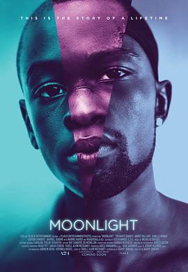 奈飞影视《月光男孩 Moonlight》免费在线观看