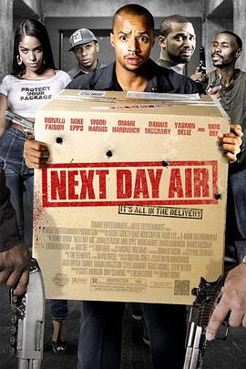 电影《次日危机 Next Day Air》完整版免费在线观看