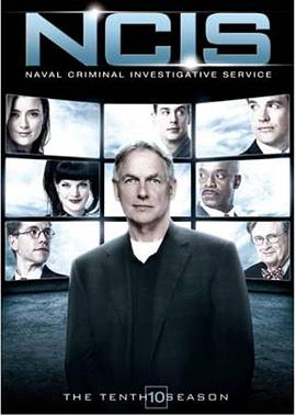 奈飞影视《海军罪案调查处 第十季 NCIS: Naval Criminal Investigative Service Season 10》免费在线观看