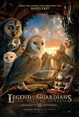 奈飞影视《猫头鹰王国：守卫者传奇 Legend of the Guardians: The Owls of Ga'Hoole》免费在线观看