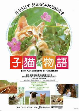 奈飞影视《小猫的故事 子猫物語》免费在线观看