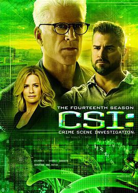 奈飞影视《犯罪现场调查 第十四季 CSI: Crime Scene Investigation Season 14》免费在线观看