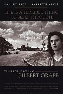 奈飞影视《不一样的天空 What's Eating Gilbert Grape》免费在线观看