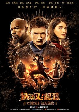 电影《罗宾汉：起源 Robin Hood》4k免费在线观看