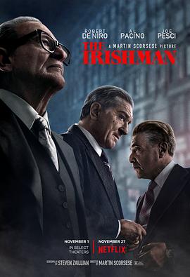 奈飞影视《爱尔兰人 The Irishman》免费在线观看