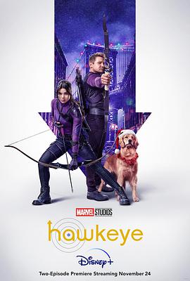 奈飞影视《鹰眼 Hawkeye》免费在线观看