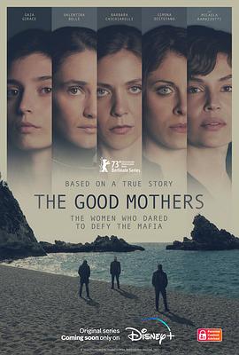 奈飞影视《好母亲 The Good Mothers》免费在线观看