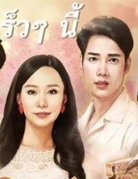 奈飞影视《爱的领域 ทุ่งเสน่หา》免费在线观看