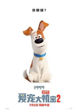 奈飞影视《爱宠大机密2 The Secret Life of Pets 2》免费在线观看