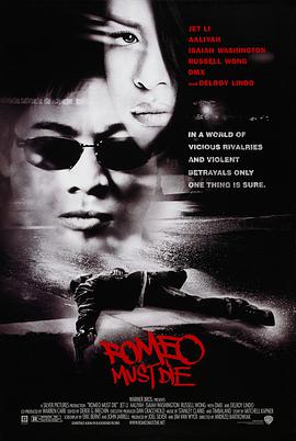 奈飞影视《致命罗密欧 Romeo Must Die》免费在线观看