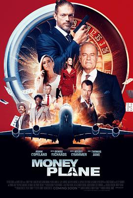 奈飞影视《黑钱飞机 Money Plane》免费在线观看