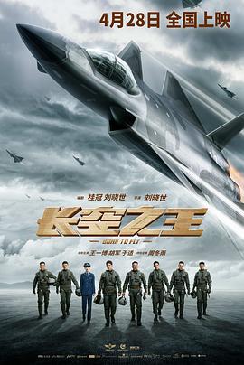 奈飞影视《长空之王》免费在线观看