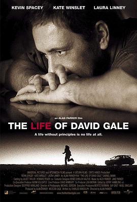 奈飞影视《大卫·戈尔的一生 The Life of David Gale》免费在线观看