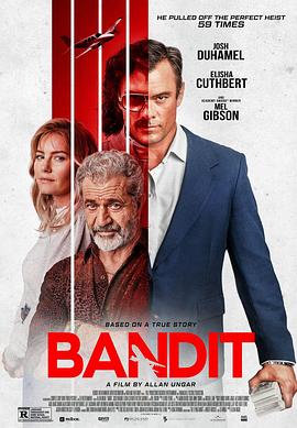 电影《盗贼 Bandit》全集免费在线观看