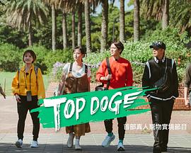 奈飞影视《TOP DOG》免费在线观看