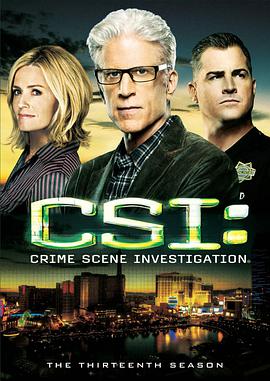 奈飞影视《犯罪现场调查 第十三季 CSI: Crime Scene Investigation Season 13》免费在线观看