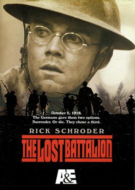 奈飞影视《幻影奇兵 The Lost Battalion》免费在线观看