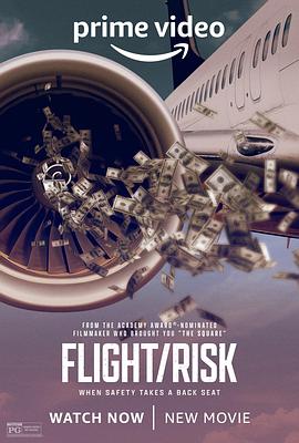 其他《生死航班 Flight/Risk》1080p免费在线观看