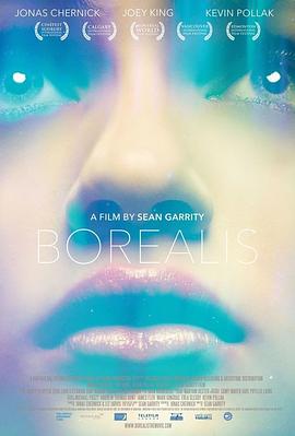 奈飞影视《去看北极光 Borealis》免费在线观看