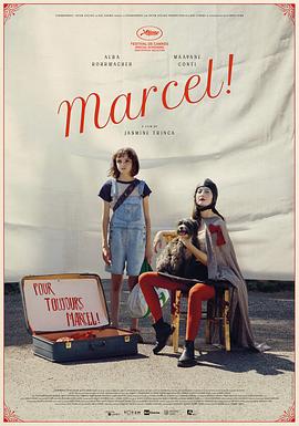 奈飞影视《马赛尔 Marcel!》免费在线观看