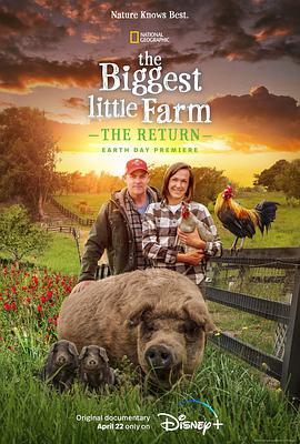 奈飞影视《最大的小小农场：回归 The Biggest Little Farm: The Return》免费在线观看