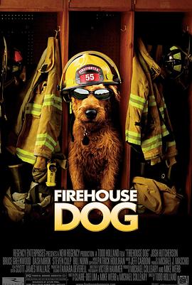 奈飞影视《消防犬 Firehouse Dog》免费在线观看