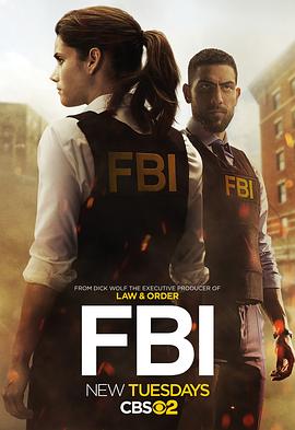 电视剧《联邦调查局 第一季 FBI Season 1》4k免费在线观看