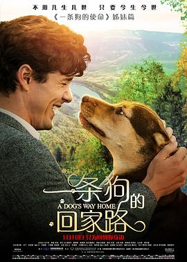 奈飞影视《一条狗的回家路 A Dog's Way Home》免费在线观看