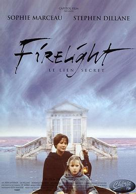 奈飞影视《心火 Firelight》免费在线观看