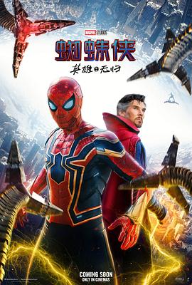 奈飞影视《蜘蛛侠：英雄无归 Spider-Man: No Way Home》免费在线观看