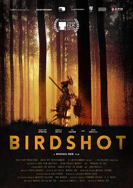 奈飞影视《猎鸟 Birdshot》免费在线观看