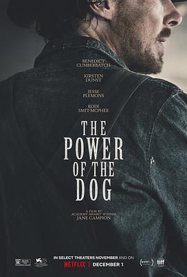 奈飞影视《犬之力 The Power of the Dog》免费在线观看