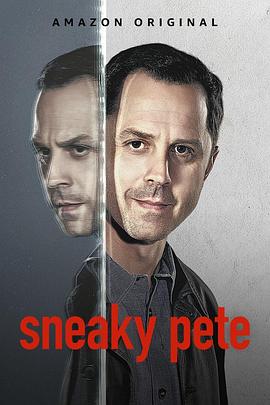 奈飞影视《诈欺担保人 第三季 Sneaky Pete Season 3》免费在线观看