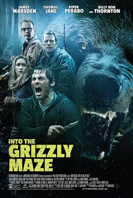 奈飞影视《嗜血灰熊 Into the Grizzly Maze》免费在线观看