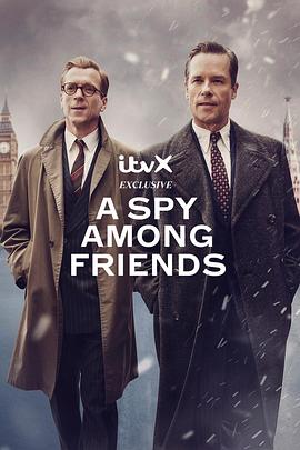 奈飞影视《敌友难辨 A Spy Among Friends》免费在线观看