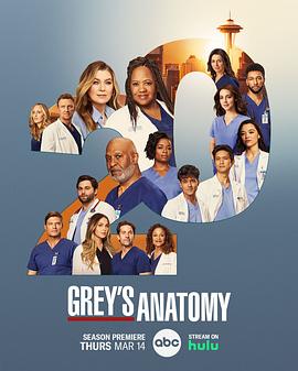 奈飞影视《实习医生格蕾 第二十季 Grey’s Anatomy Season 20》免费在线观看